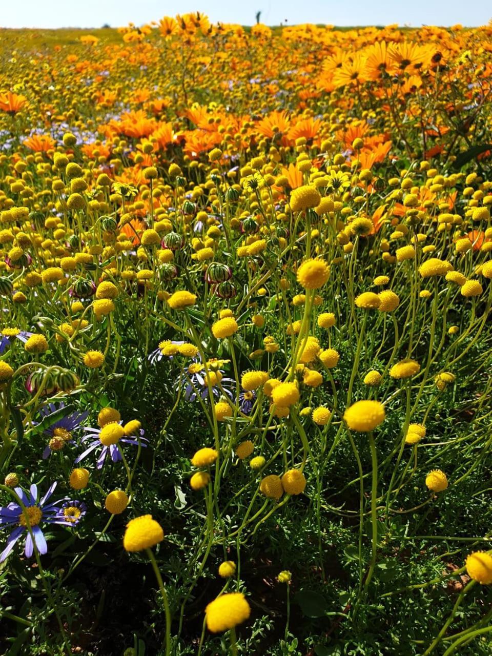 Namaqualand Eco Lodge Soebatsfontein Екстер'єр фото