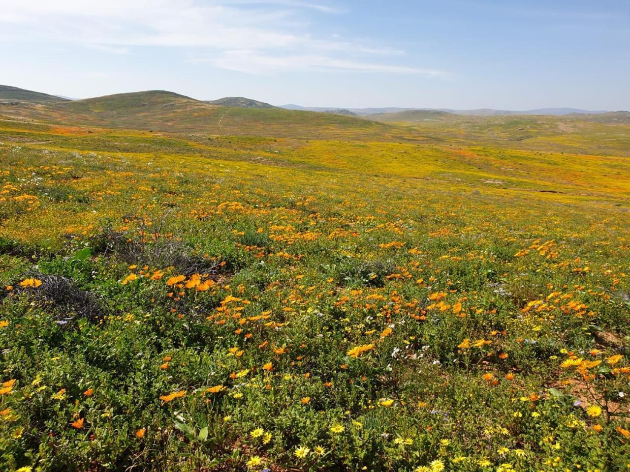 Namaqualand Eco Lodge Soebatsfontein Екстер'єр фото